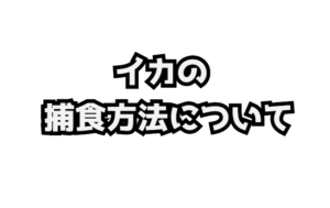 ブラックサンタクロースってどんな人物?悪い子の家に動物の内臓