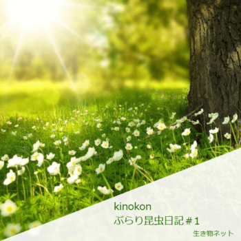 Thumbnail of post image 109