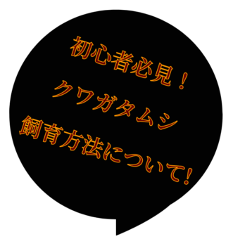 Thumbnail of post image 141