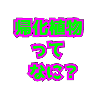 Thumbnail of post image 090