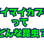 Thumbnail of post image 081