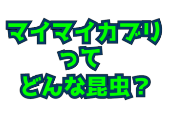 Thumbnail of post image 072