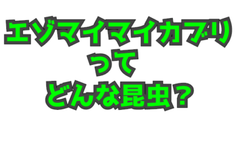 Thumbnail of post image 101