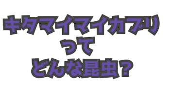 Thumbnail of post image 059