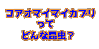 Thumbnail of post image 108