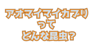 Thumbnail of post image 146