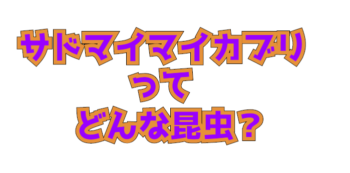 Thumbnail of post image 129