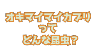 Thumbnail of post image 076