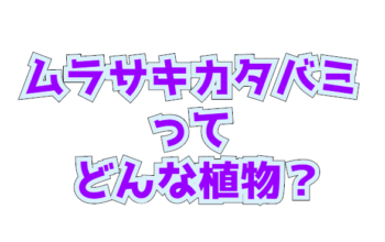 Thumbnail of post image 149