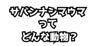 Thumbnail of post image 149