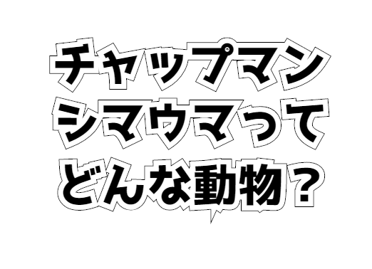 チャップマンシマウマの生態や特徴を大紹介 けものフレンズ３に登場しかわいいと話題に 生き物ネット