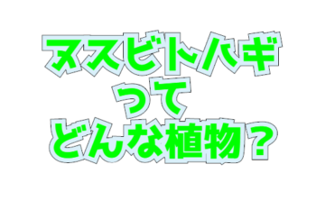 Thumbnail of post image 180