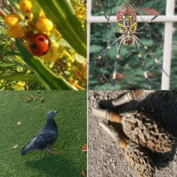 Thumbnail of post image 167