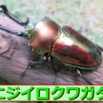 Thumbnail of post image 109