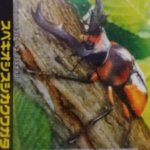 Thumbnail of post image 091