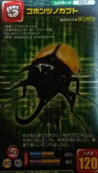 Thumbnail of post image 055