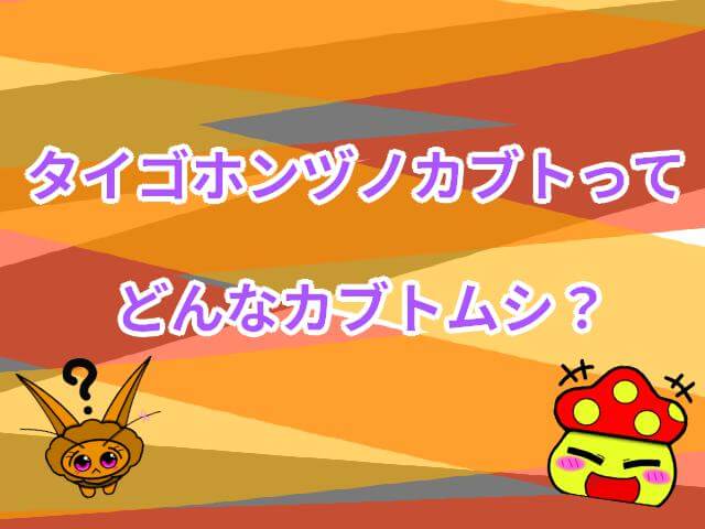 タイゴホンヅノカブト