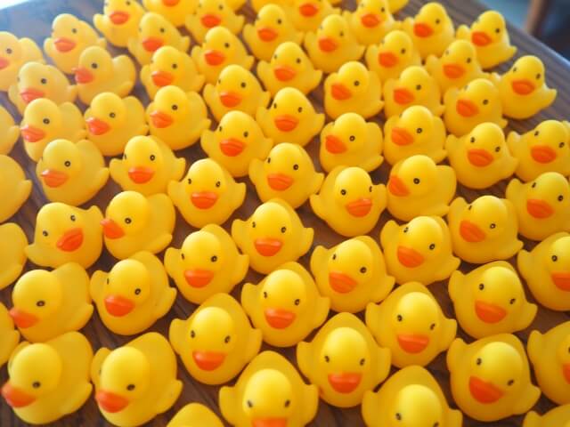 ひよこ