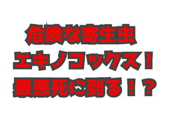 Thumbnail of post image 056