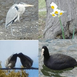 Thumbnail of post image 110