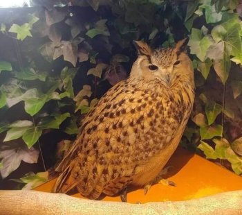 Thumbnail of post image 041