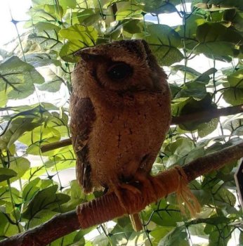 Thumbnail of post image 127