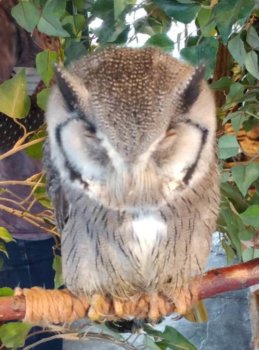 Thumbnail of post image 063