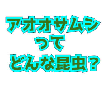 Thumbnail of post image 114