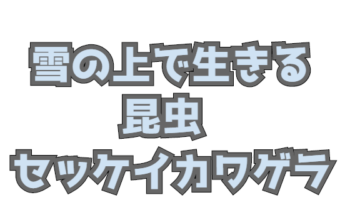 Thumbnail of post image 054