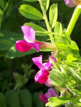 Thumbnail of post image 098