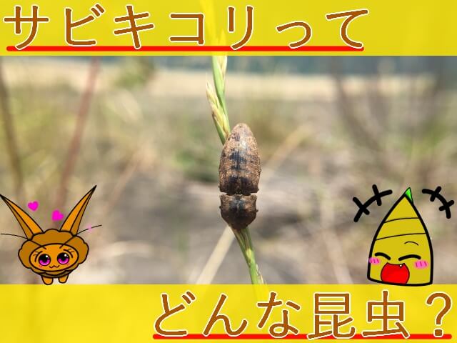 Thumbnail of post image 011