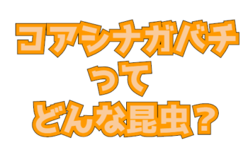 Thumbnail of post image 043