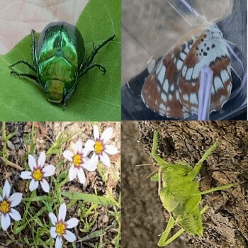 Thumbnail of post image 061