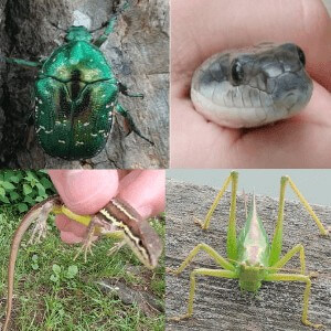 Thumbnail of post image 185