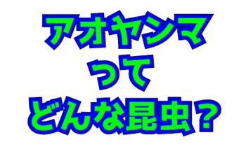 Thumbnail of post image 101