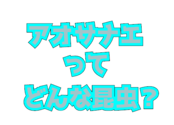 Thumbnail of post image 022