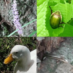 Thumbnail of post image 190