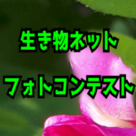 Thumbnail of post image 010