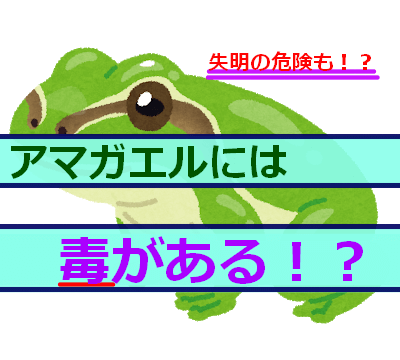 アマガエルには毒がある 失明の危険も 対処法を解説 生き物ネット