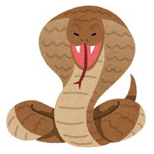 蛇の舌グリマ