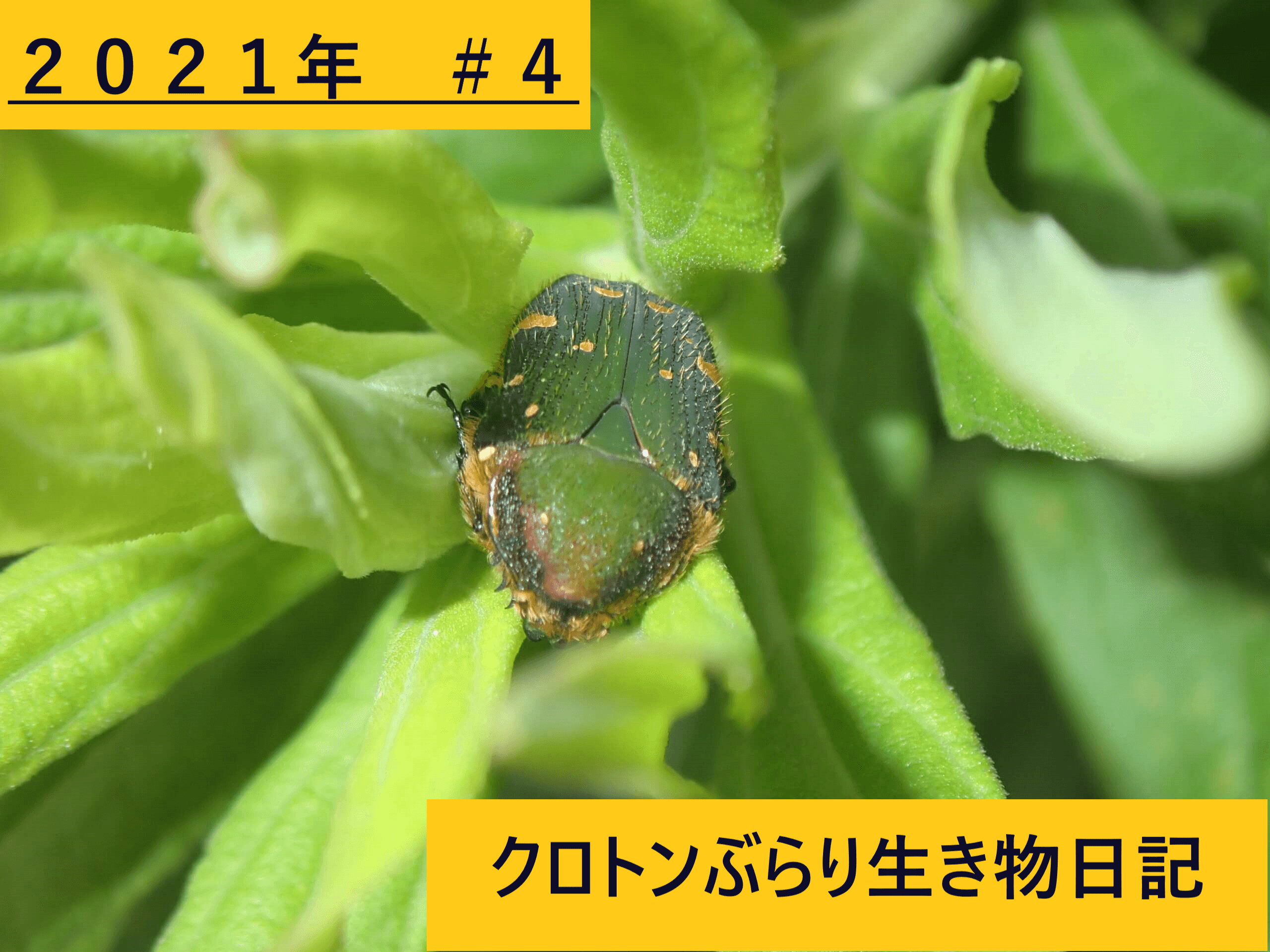 Thumbnail of post image 032