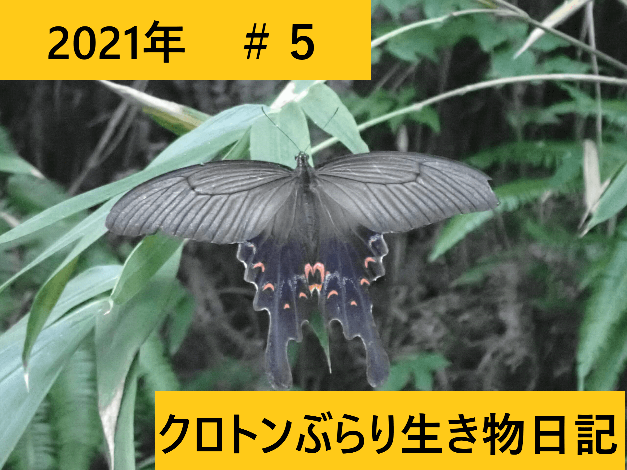 Thumbnail of post image 021