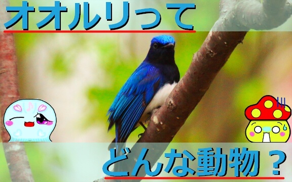 Thumbnail of post image 154