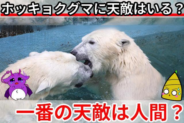 ホッキョクグマ 天敵