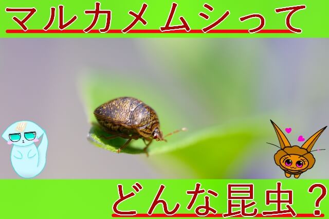 Thumbnail of post image 004