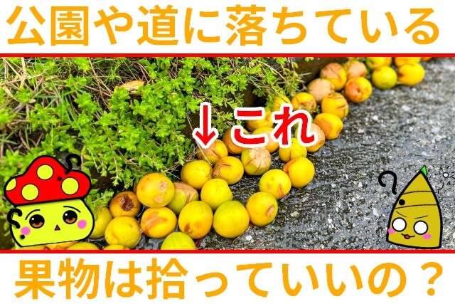 Thumbnail of post image 098