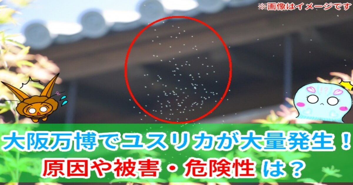 大阪万博　シオユスリカ　
