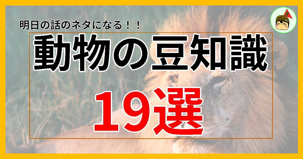 動物の豆知識 19選 サムネ