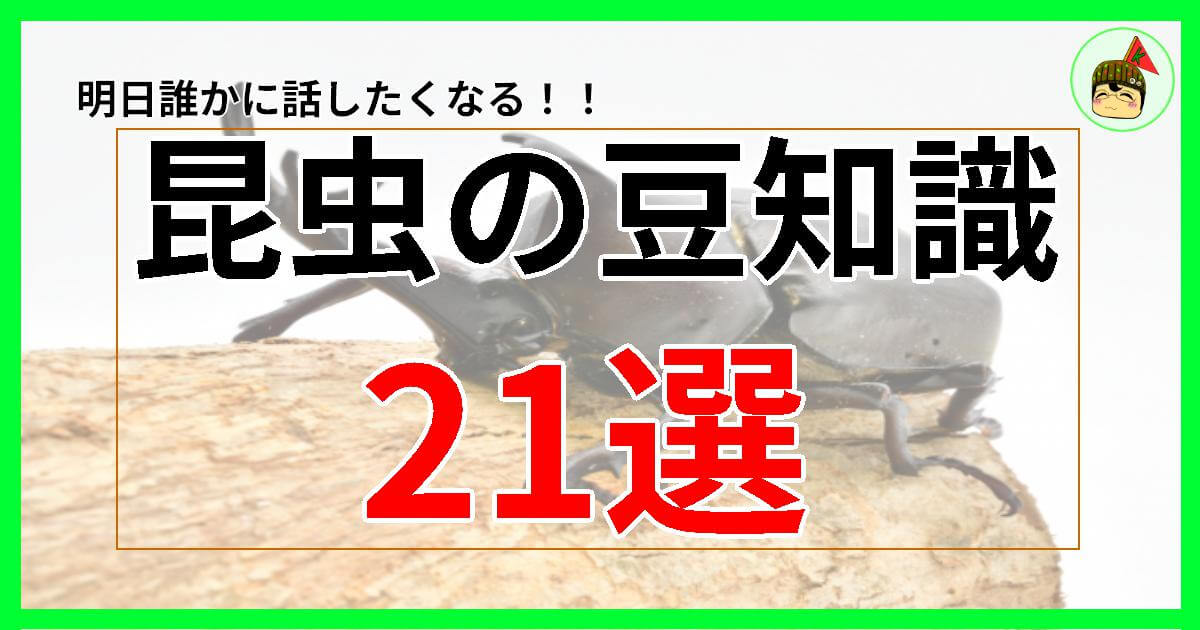 昆虫の豆知識 21選