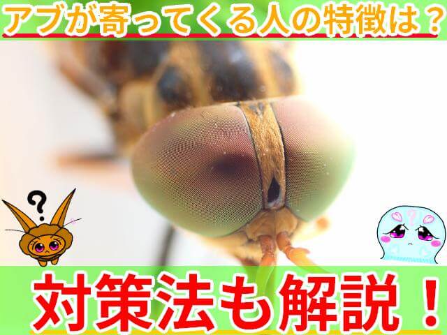 アブが寄ってくる人 サムネ